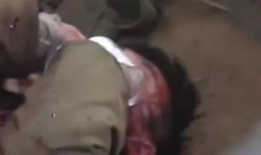 暗黑爆料免费观看吃瓜,免费观看吃瓜盛宴，揭秘娱乐圈幕后真相