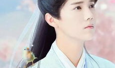 湖南台所有电视剧大全,穿越时空的情感之旅