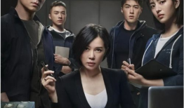 谎言电视剧,电视剧谎言剧情概述